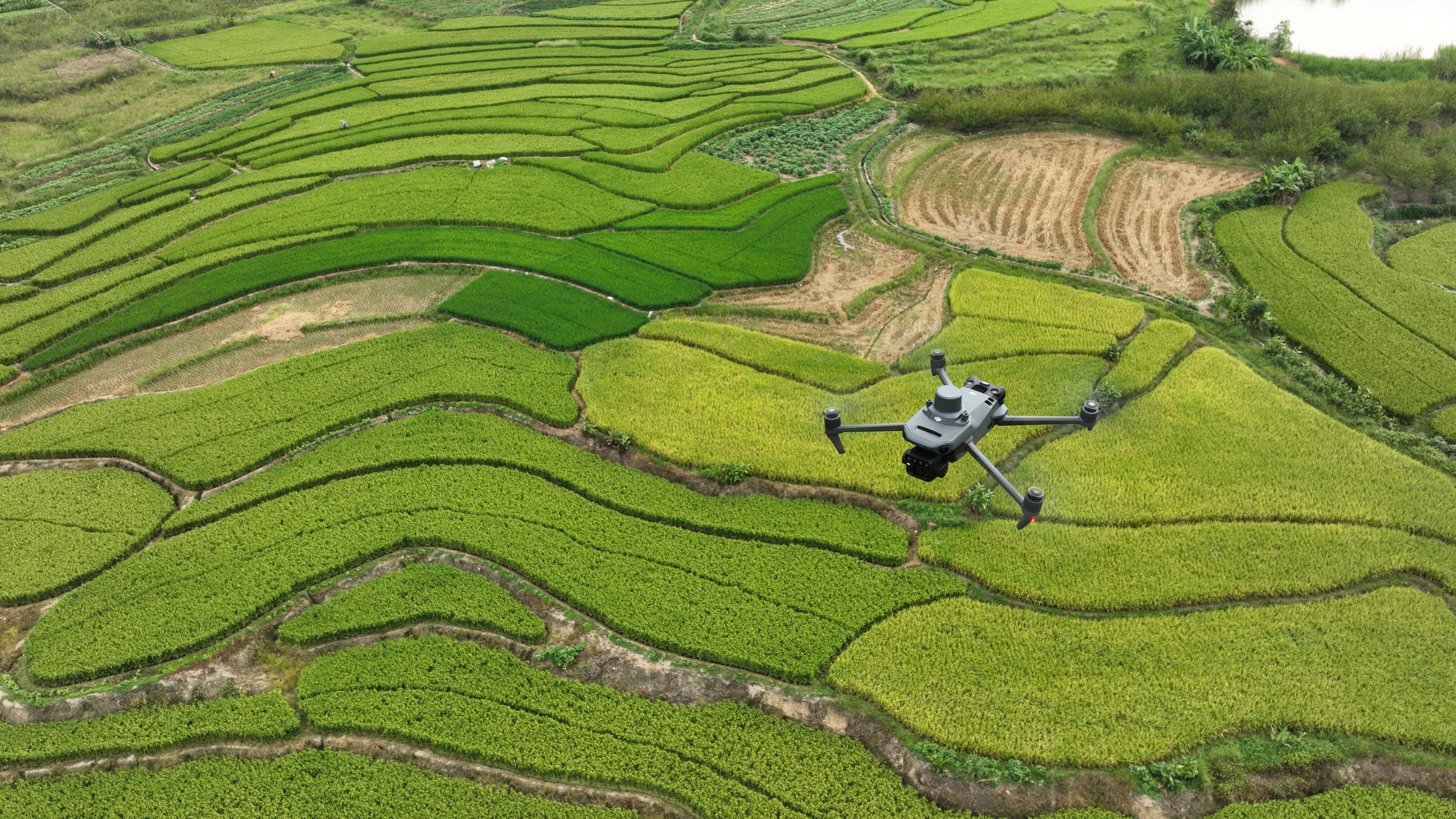 DJI Mavic 3 Multispectral M3M - Evaluation Unit #51 DJI Florida Drone Supply DJI Mavic 3 Multispectral M3M With Enterprise Care